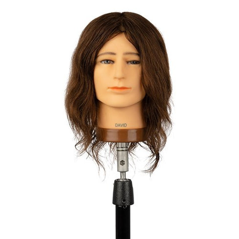 Dateline Professional David Mannequin