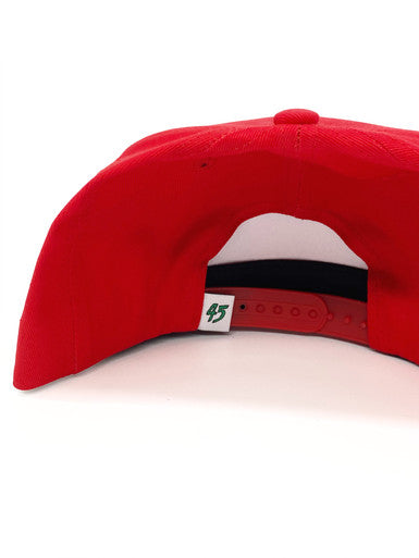 Tomb45 Logo Snapback Hat - Graffiti Bill