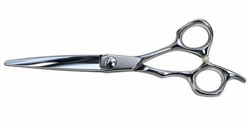 H2B Scissors XR625